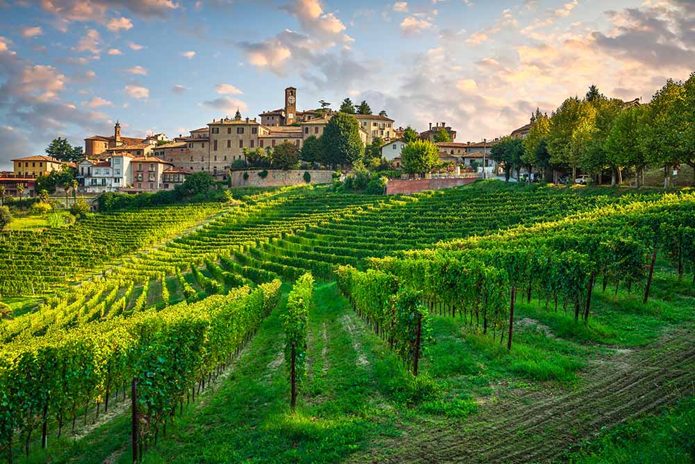 Wijnen uit Piemonte